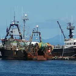 Port Hardy Harbour - Port Hardy