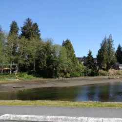 Port Hardy Harbour - Port Hardy