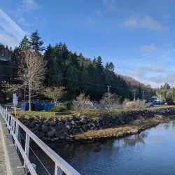 Port Hardy Harbour - Port Hardy
