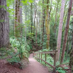 Seal Bay Nature Park - Port Hardy