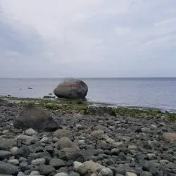 Seal Bay Nature Park - Port Hardy