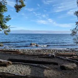 Seal Bay Nature Park - Port Hardy
