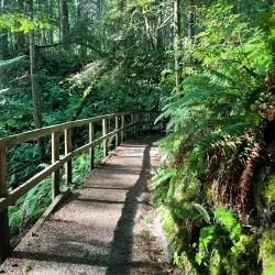 Seal Bay Nature Park - Port Hardy