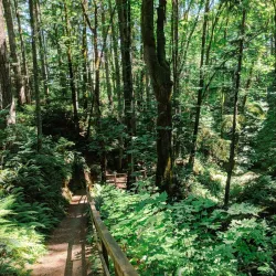 Seal Bay Nature Park - Port Hardy