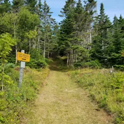 Battery Provincial Park - Port Hawkesbury