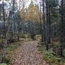 Battery Provincial Park - Port Hawkesbury
