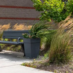 Port Hawkesbury Civic Centre - Port Hawkesbury