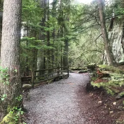 Belcarra Regional Park - Port Moody