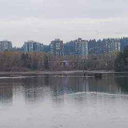 Port Moody Waterfront Trail - Port Moody
