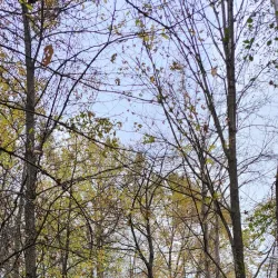 Port Moody Waterfront Trail - Port Moody