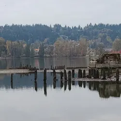 Port Moody Waterfront Trail - Port Moody