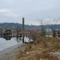 Port Moody Waterfront Trail - Port Moody