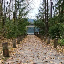 Port Moody Waterfront Trail - Port Moody