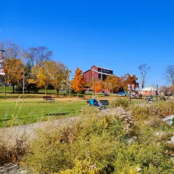 Port Perry Heritage District - Port Perry