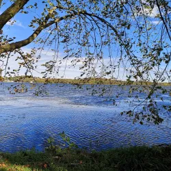 Port Perry Marina - Port Perry