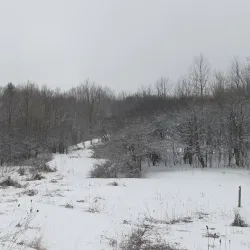 Scugog Island Conservation Area - Port Perry