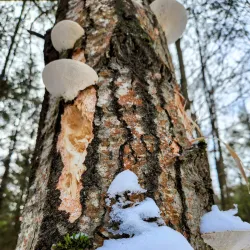 Scugog Island Conservation Area - Port Perry