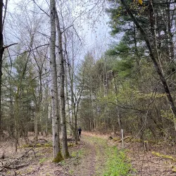 Scugog Island Conservation Area - Port Perry