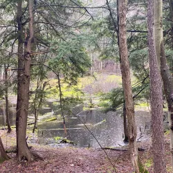 Scugog Island Conservation Area - Port Perry