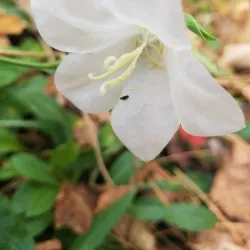 Scugog Island Conservation Area - Port Perry