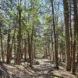 Scugog Island Conservation Area - Port Perry