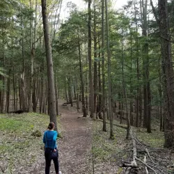 Scugog Island Conservation Area - Port Perry