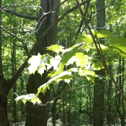 Scugog Island Conservation Area - Port Perry