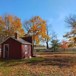 Scugog Shores Museum and Pioneer Village - Port Perry
