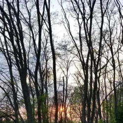 Port Stanley Conservation Area - Port Stanley