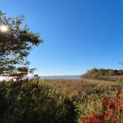 Port Stanley Conservation Area - Port Stanley
