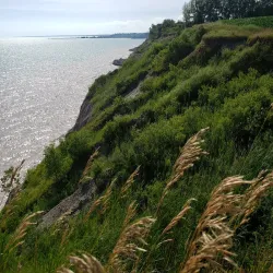 Port Stanley Conservation Area - Port Stanley
