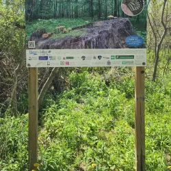 Port Stanley Conservation Area - Port Stanley