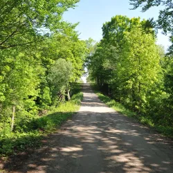 Port Stanley Conservation Area - Port Stanley