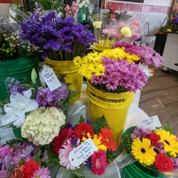 Port Stanley Farmers' Market - Port Stanley