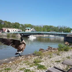 Port Stanley Terminal Rail - Port Stanley