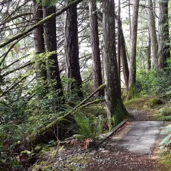 Ellesmere Park - Powell River