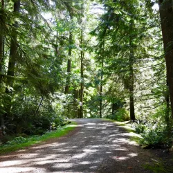 Ellesmere Park - Powell River