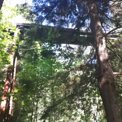 Powell River Recreation Complex - Powell River