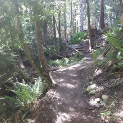 Powell River Recreation Complex - Powell River