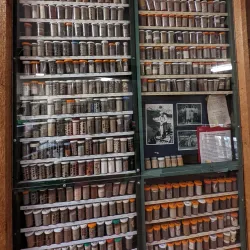 Powell River Regional Museum & Archives - Powell River