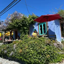 Tla'amin Nation Cultural Centre - Powell River