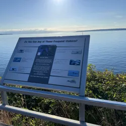 Willis Point Lookout - Powell River