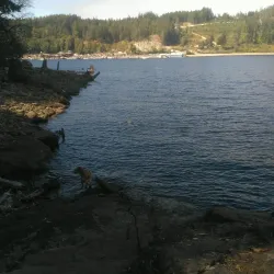 Willis Point Trail - Powell River