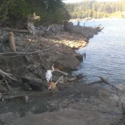 Willis Point Trail - Powell River