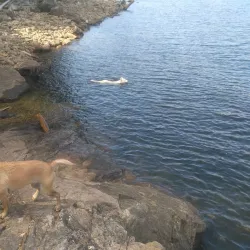 Willis Point Trail - Powell River