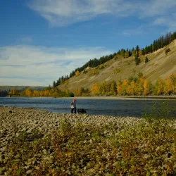 Cottonwood Island Nature Park - Prince George