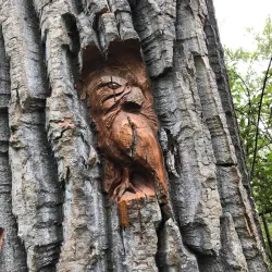 Cottonwood Island Nature Park - Prince George