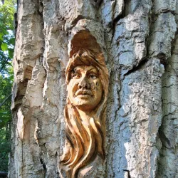 Cottonwood Island Nature Park - Prince George