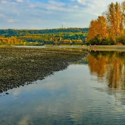 Cottonwood Island Nature Park - Prince George