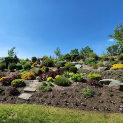 Cranbrook Hill Park - Prince George